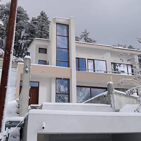 Mountain In With Fireplace & Sauna Villa *